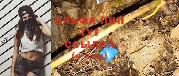 трава Лабытнанги