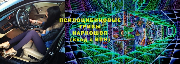 трава Лабытнанги