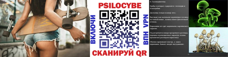 Псилоцибиновые грибы GOLDEN TEACHER  Шилка 